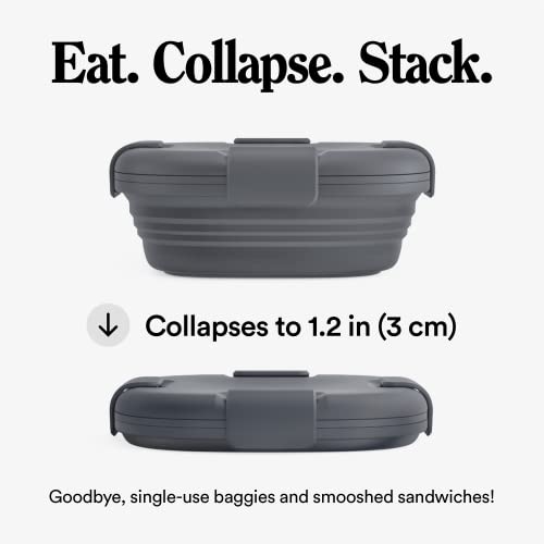Reusable Collapsible Food Container - On-The-Go