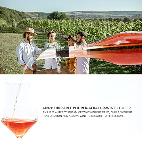 Premium 3-in-1 Wine Cooler & Decanter Set