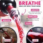2-in-1 Professional Wine Aerator Pourer Spout