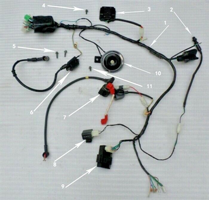 RPS Hawk 250 Horn (#10 in diagram)