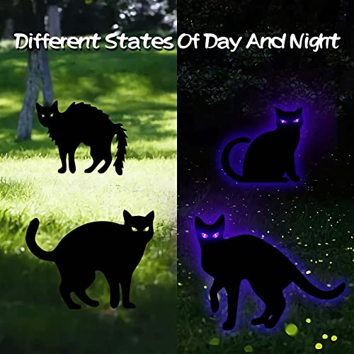 Halloween Yard Signs with Lights, 4 PCS Black Cats Outdoor Decorations, Trick or Treat Yard with Stakes, Corrugate Waterproof Halloween Thickened Themed Lawn Decorating for Pathway, Garden, Outside