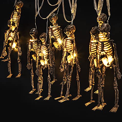 Spooky Skeleton Skull with Lighted Holiday Displays