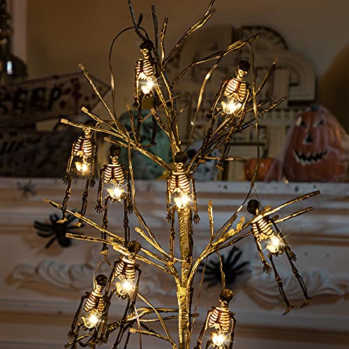 Spooky Skeleton Skull with Lighted Holiday Displays