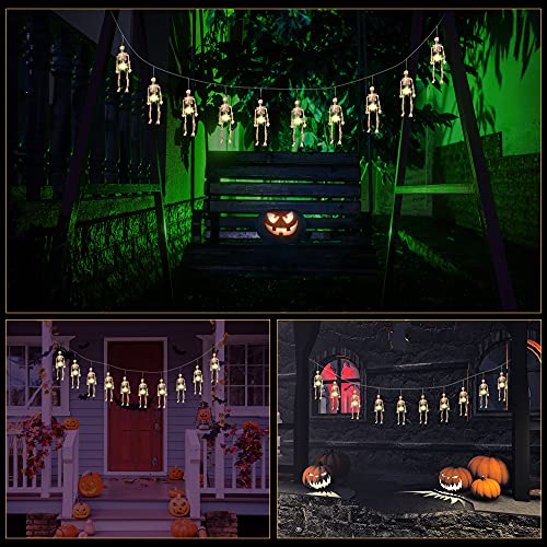 Spooky Skeleton Skull with Lighted Holiday Displays