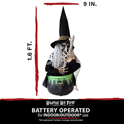 Scary Talking Witch with Cauldron, Halloween Decoration