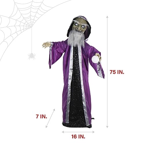 Spooky Talking Wizard with Moving Crystal Ball for Halloween