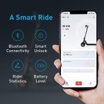 NIU KQi3 Pro Electric Scooter for Adults