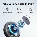 Jasion JS3 Electric Scooter with Seat, 650W Peak Motor Electric Scooters for Adults, 20-Mile Ranges E-Scooter for Pets & Cargo, Foldable Sport Scooters 20MPH Max Speed, Dual Disc Brakes for Commuter