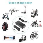 Fancy Buying 42V 2A Charger for Electric Scooter 36V 10S Lithium-ion Battery Pack Compatible with GOTRAX GXL V2, G2, G3, G4, Apex, Glider, XR Elite, XR Ultra 5.5 * 2.1mm Plug with a 5.5 * 2.5mm tip