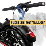Phantomgogo Electric Scooter for Adults Scooters Kids Foldable E-Scooter with with 350W Motor 15.5 mph Max Speed Long Range EScooter for Commuter (Blue)
