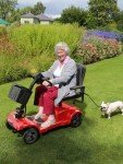 ENGWE Folding 4 Wheel Mobility Scooter,15 Mile Long Range, 250W Electric Powered Mobile Wheelchair for Seniors Adult with Detachable Basket, Front Light (Blue, XL Cushion)