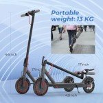 Riuiio 19MPH Folding Electric Scooter for Adults