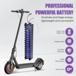 Power Bull 36V 7800mAh Lithium Battery for Scooters