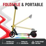 WEELMOTION Gold Kids Electric Scooter with Lights