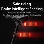 ROCKBROS Smart Brake Alert Tail Light