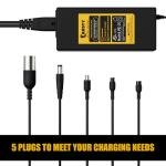 Carsty UL Certified 42V 2A Replacement [Hoverboard Charger] for 36V Lithium Battery with 5 in 1 Universal Plugs - Compatible with Gotrax, Jetson, Segway,Ninebot, Swagtron, Bird Electric Scooters