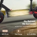 Freeboy 48V 800W Electric Scooter for Adults