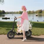 AOVOPRO 500W 14" Folding Electric Scooter with Seat