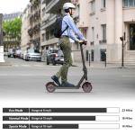 550W Front Suspension Electric Scooter for Adults