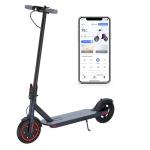 350W Electric Scooter for Adults, 19MPH Speed