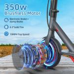 350W Electric Scooter for Adults, 19MPH Speed