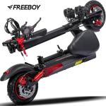 Freeboy 48V 800W Electric Scooter for Adults
