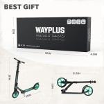 WAYPLUS Aquas Foldable Kick Scooter for All Ages