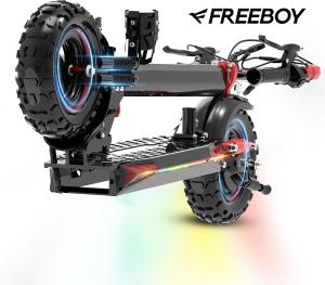 Freeboy 48V 1200W Electric Scooter with Fat Tires