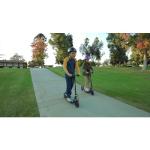 Razor E100 Electric Scooter in Sweet Pea Color