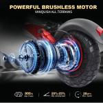 Freeboy 48V 800W Electric Scooter for Adults