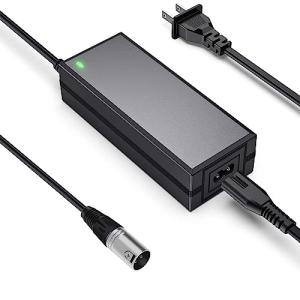 24V 2A Electric Scooter Battery Charger for Multiple Models