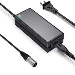 24V 2A Electric Scooter Battery Charger for Multiple Models