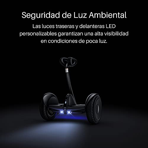 Ninebot S Self-Balancing Electric Scooter, Dual Motor, Max Range