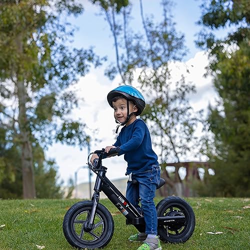 Hiboy Electric Bike for Kids, 12" - 24v 150w
