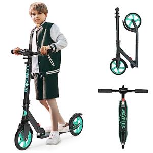 WAYPLUS Aquas Foldable Kick Scooter for All Ages