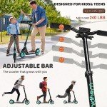 WAYPLUS Aquas Foldable Kick Scooter for All Ages