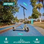 Gotrax GKS Lumios Kids Electric Scooter - Gray