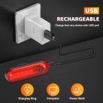 Ascher USB Rechargeable LED Bike Tail Light 2-Pack