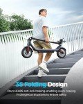 A6L ECO Adult Electric Scooter with 10" Tires