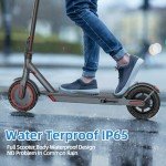 350W Electric Scooter for Adults, 19MPH Speed