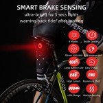 ROCKBROS Smart Brake Sensing Tail Light for Bikes