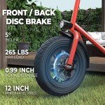 Phantomgogo R1 Electric Scooter for Commuting