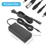 42V 2A Electric Scooter Charger with 6 Plugs