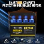 2 Pack 12V 7Ah Lithium Iron Batteries for Scooters