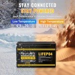 2 Pack 12V 7Ah Lithium Iron Batteries for Scooters