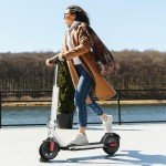 Caroma Foldable Electric Scooter for Adults 350W