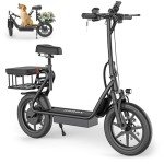 WERHY H3PRO Foldable Electric Scooter with Seat