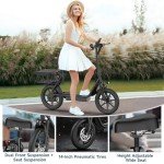 WERHY H3PRO Foldable Electric Scooter with Seat