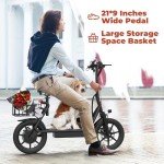 WERHY H3PRO Foldable Electric Scooter with Seat