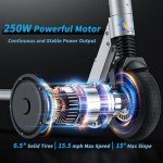Caroma Electric Scooter: 250W, 15.5 Miles, Portable